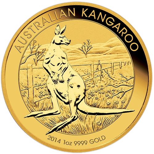 Australian Gold Kangaroo