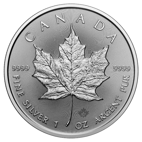 Canadian Silver Maple Leaf